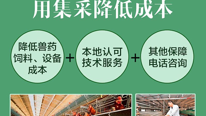 上海PCR检测设备：揭秘其背后的技术原理与选择要点
