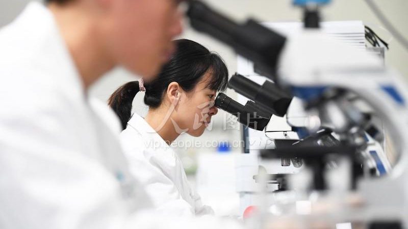 居家PCR检测：上海方法背后的技术奥秘