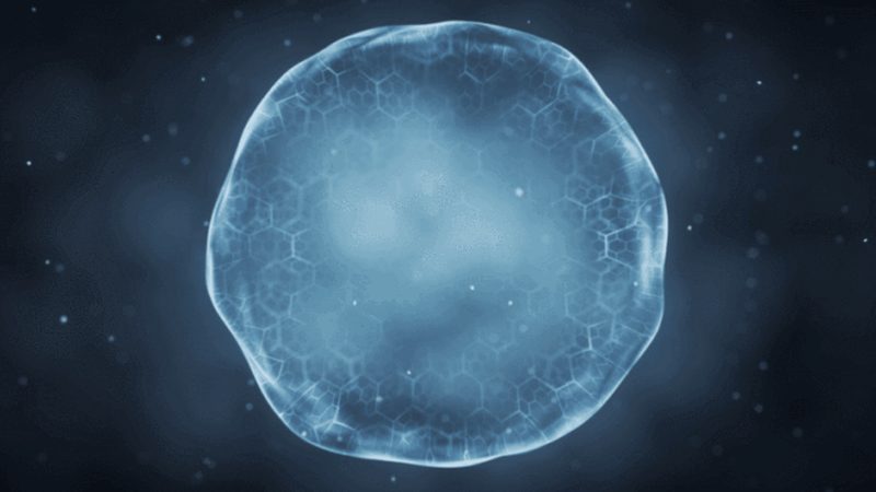 规格参数解码：生物科技产品背后的秘密**