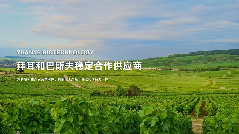 试剂盒储存温度：揭秘影响准确性的关键因素**