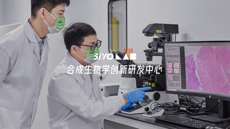 血液制品分类解析：揭秘生物制品中的血液制品