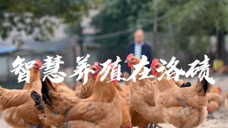 生物科技试剂直销厂家对比
