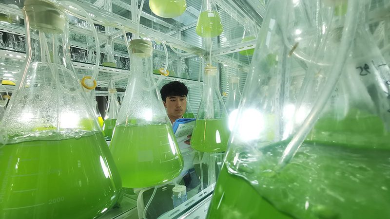 个人全基因组测序：揭秘基因检测的“全貌”**